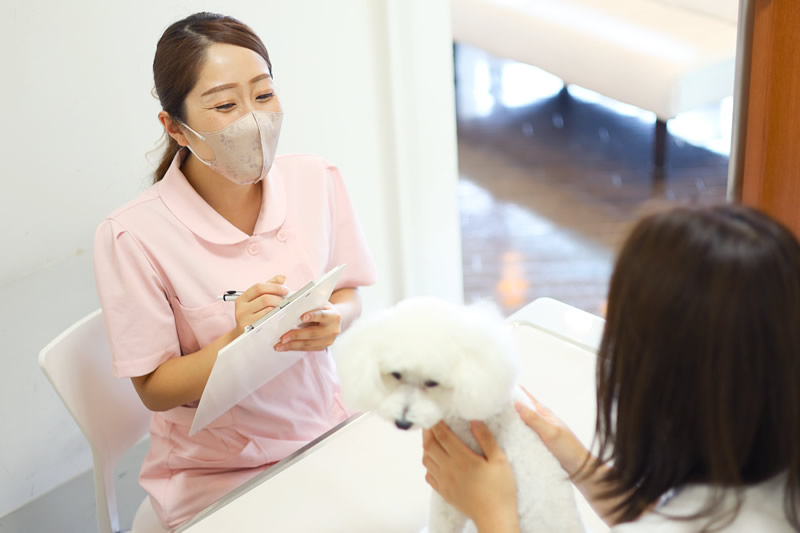 うつのみやペットクリニック 犬,猫,うさぎ,小鳥を診療