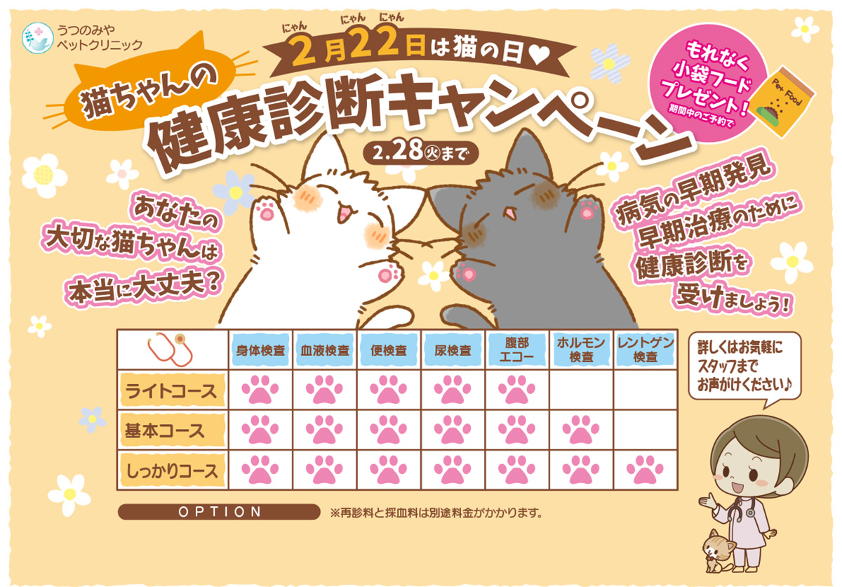 猫の健康診断の日キャンペーン