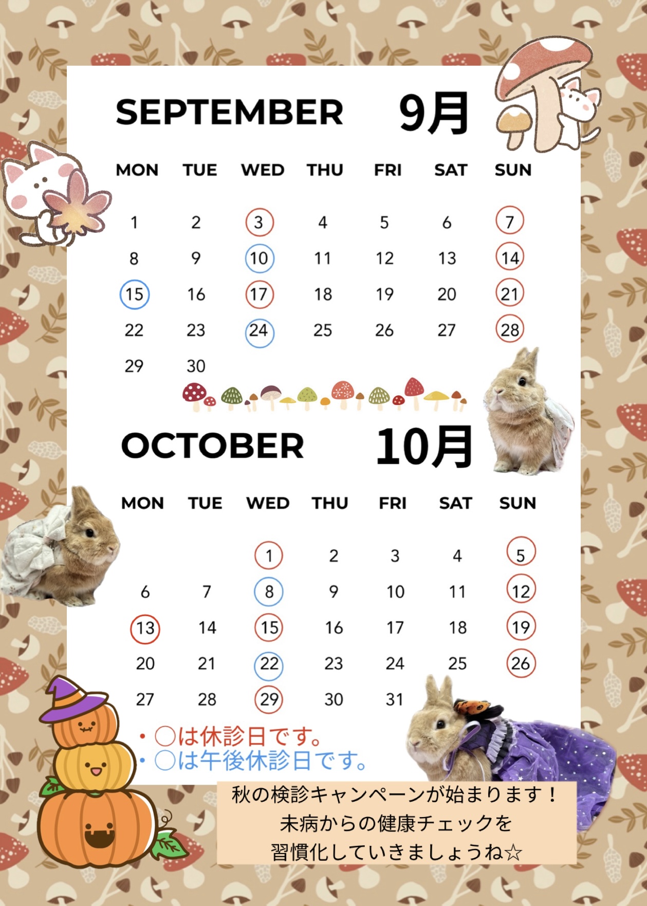 診療カレンダー
