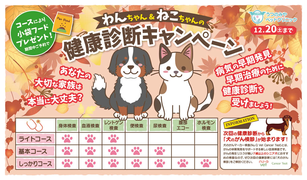 健康診断キャンペーン