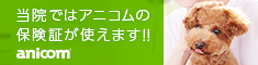 当院ではアニコムの保険証が使えます！！