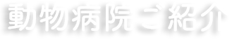 動物病院ご紹介