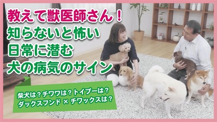 教えて獣医師さん!犬の病気のサイン