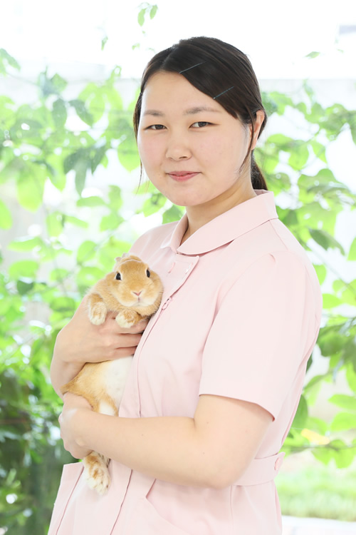 山口 遥（やまぐち はるか）